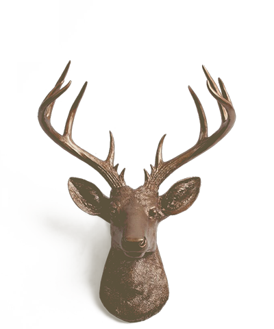 loft-deer